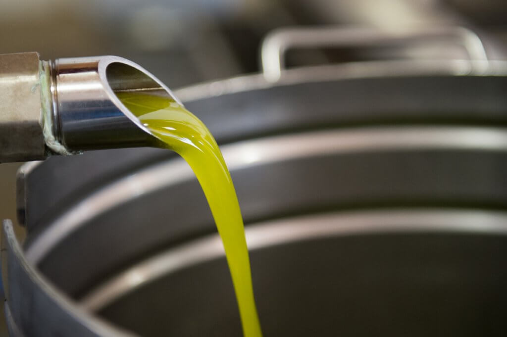 Olio novello: spremitura olive