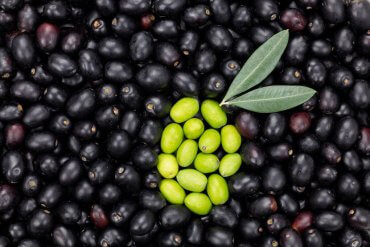 Come riconoscere un buon olio extravergine di oliva?